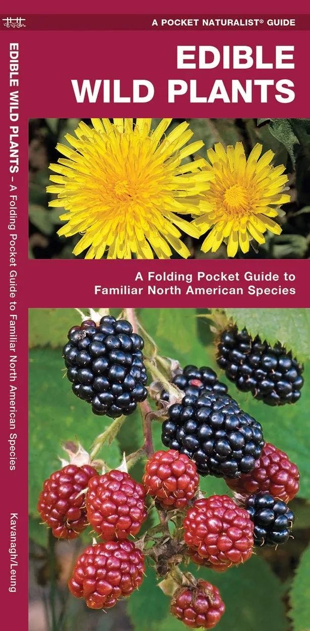 Edible Wild Plants: A Folding Pocket Guide to Familiar North American Species (Nature Observation North America) Pamphlet  February 28, 2025