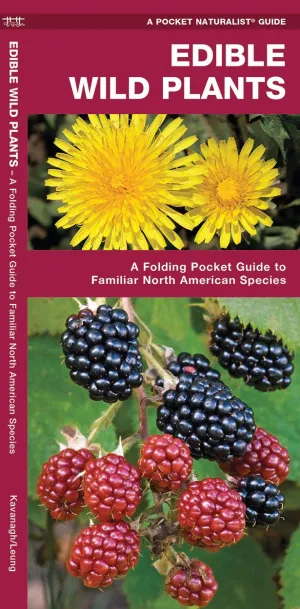 Edible Wild Plants: A Folding Pocket Guide to Familiar North American Species (Nature Observation North America) Pamphlet  February 28, 2025